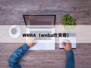 WNBA（wnba坎贝奇）